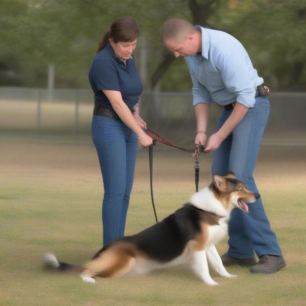 Proper Leash Handling with a Choke Collar