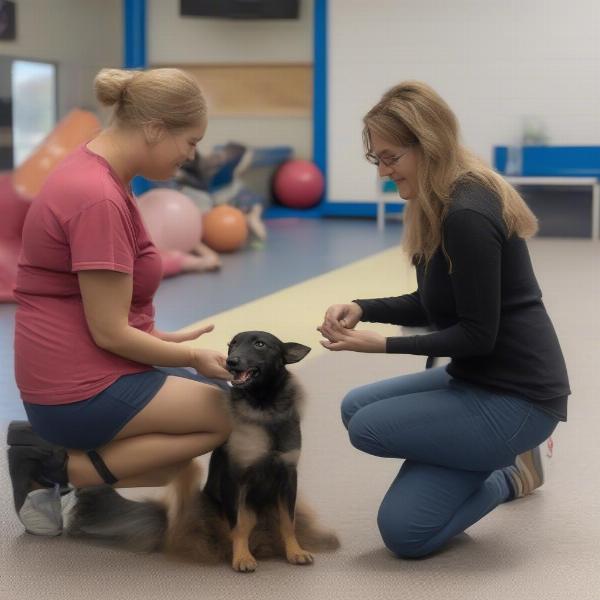 Dog Daycare Nampa Staff Interaction