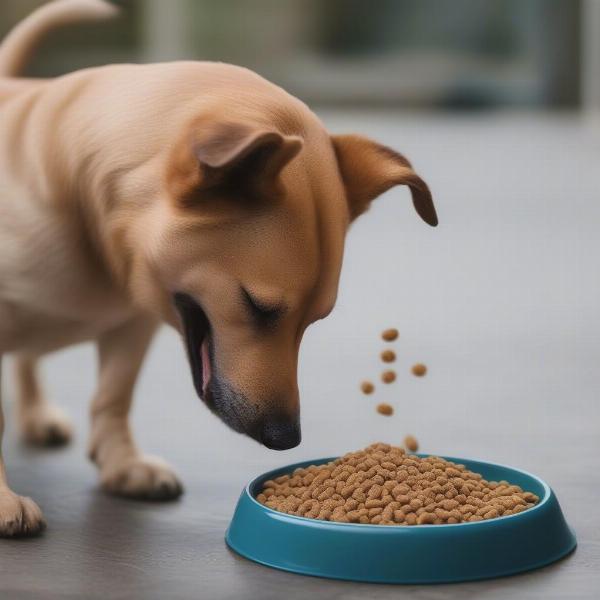 A dog happily eating from its bowl