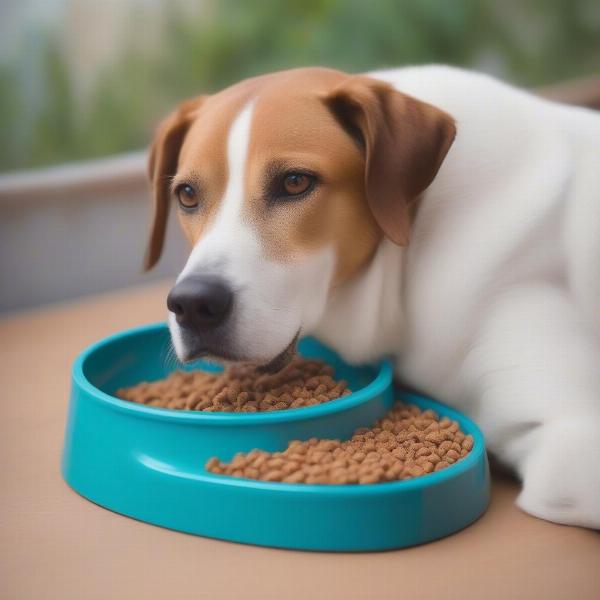 Dog Enjoying a Meal from a Slow Feeder Bowl