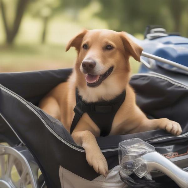 Dog happily sitting in a well-ventilated motorcycle trailer, enjoying the ride.