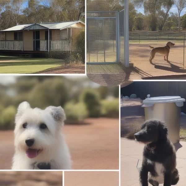 Dog-Friendly Amenities in Parkes NSW