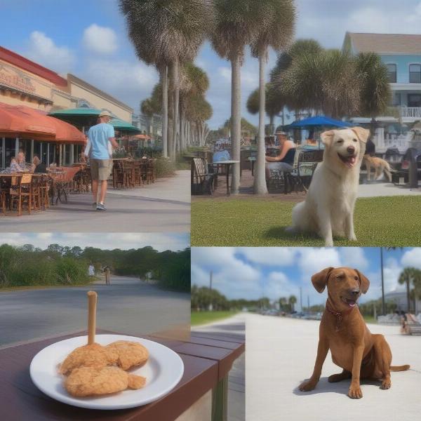 Dog-Friendly Activities in New Smyrna Beach