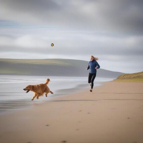 Dog enjoying a coastal walk in Northumberland