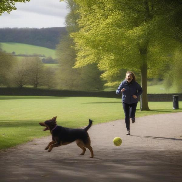 Enjoying a dog friendly trip in Bakewell, Peak District