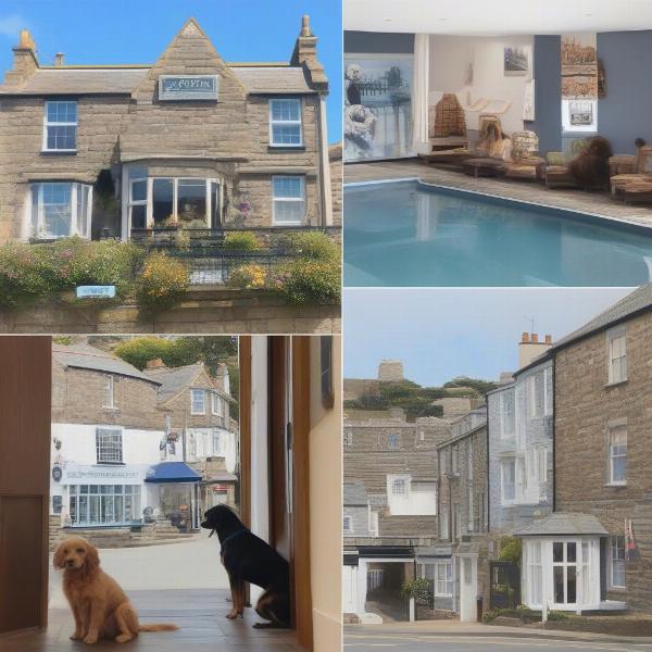 Dog-friendly hotels in St Ives, Cornwall offer comfortable stays for both you and your furry friend.