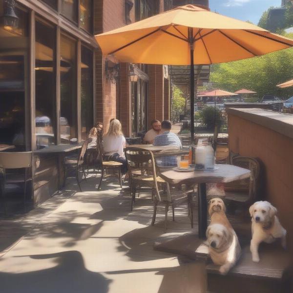 Dog-friendly patio in Asheville