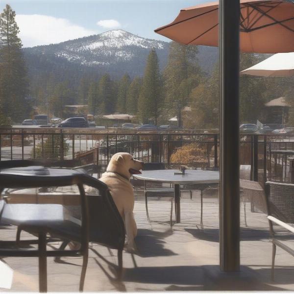 Dog-friendly patio at a restaurant in Big Bear