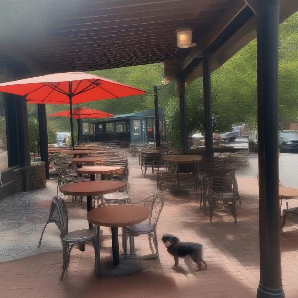 Dog-friendly patio in Charlotte, NC