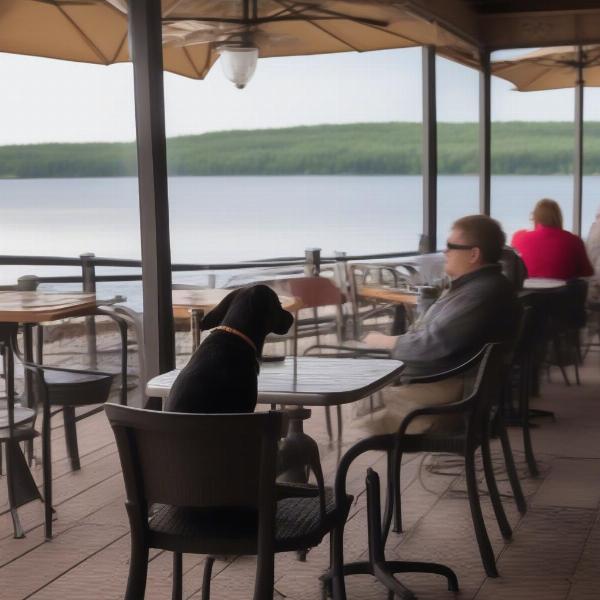 Dog-Friendly Patio Restaurant North Shore Minnesota