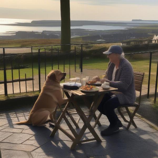 Outdoor dining with a dog in St Andrews