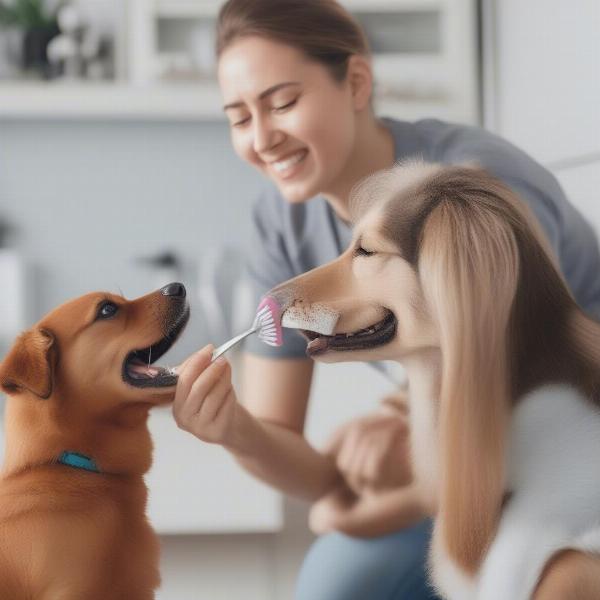 Dog Getting Teeth Brushed