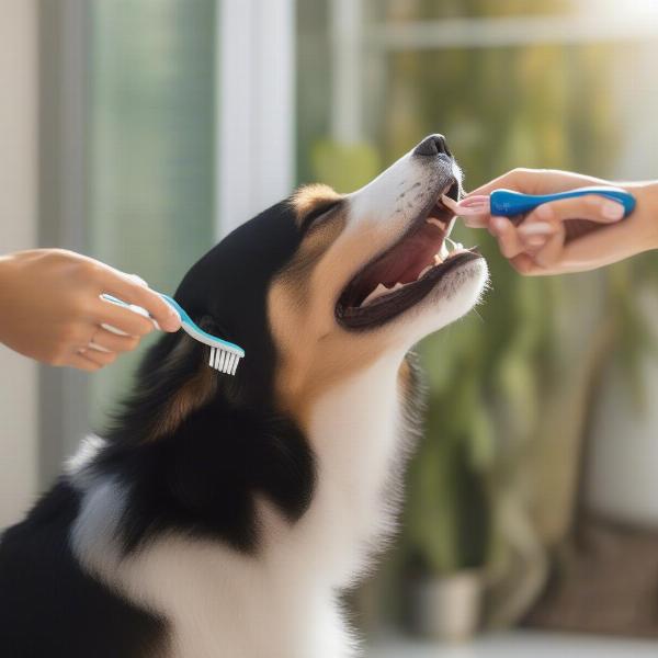 Happy dog getting its teeth brushed