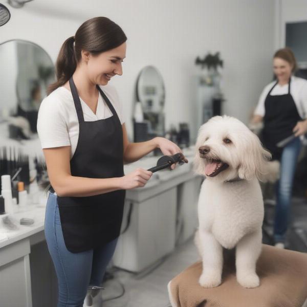 Dog Grooming Career in Toronto