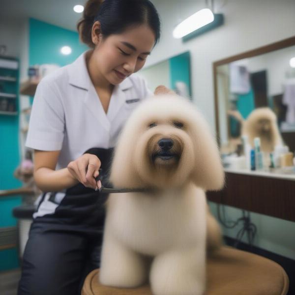 Dog grooming in Southeast Asia