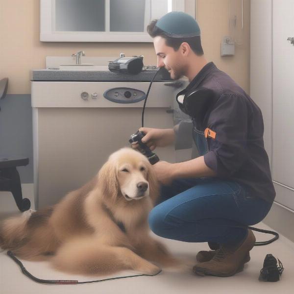 Dog Grooming with Compressor Powered Tools