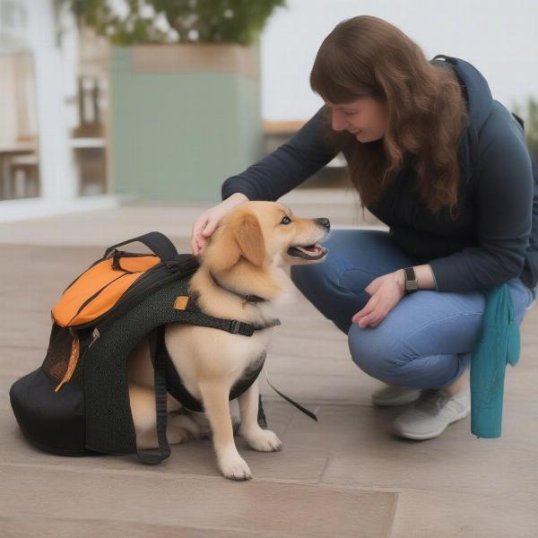 Dog in Carrier Backpack Training