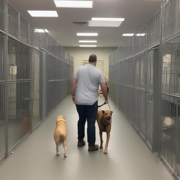 Dog Kennel Facility Tour in Riverview