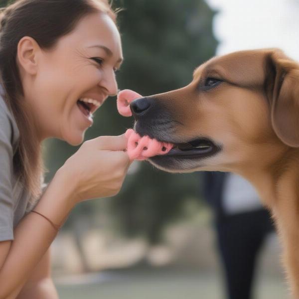 Positive Reinforcement Muzzle Training