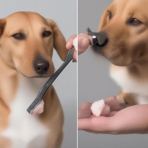 Trimming a Dog's Nails and Cleaning Their Ears