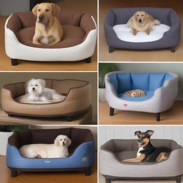 Different Sizes of Raised Dog Beds