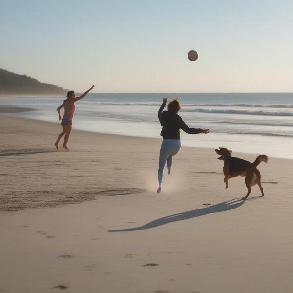 Dog and Owner Enjoying the Beach