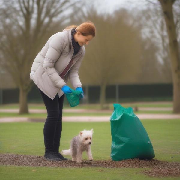 Dog Park Etiquette in Cuddington