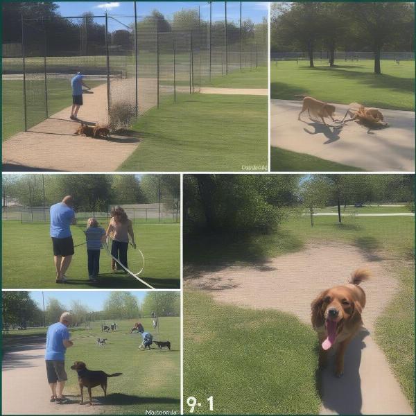 Dog Park Etiquette Tips