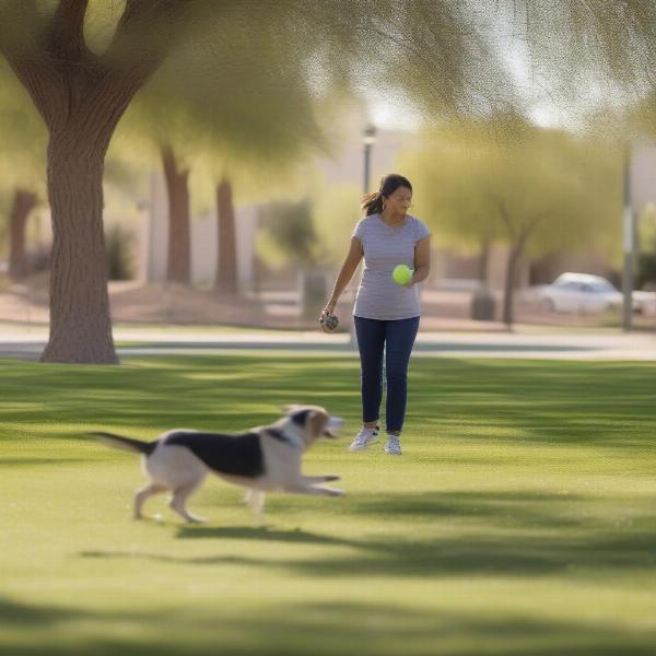 Dog playing at a park in Gilbert, AZ