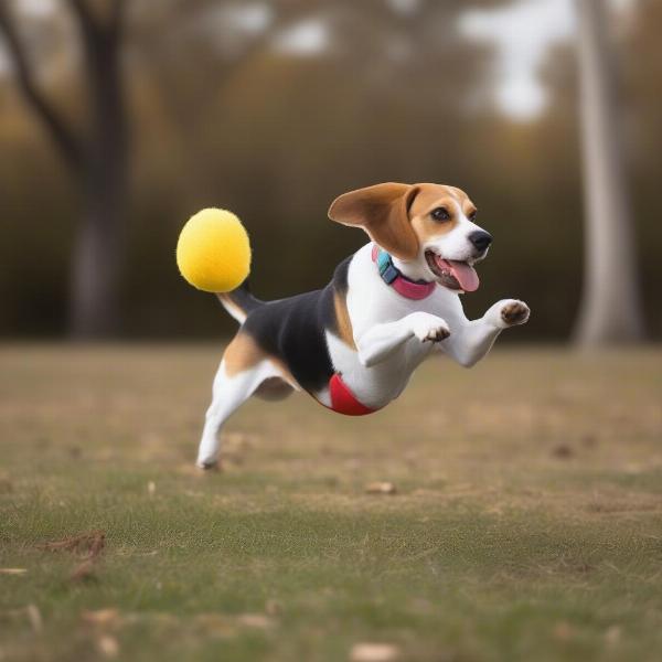 Dog Playing Fetch with Handbag Toy