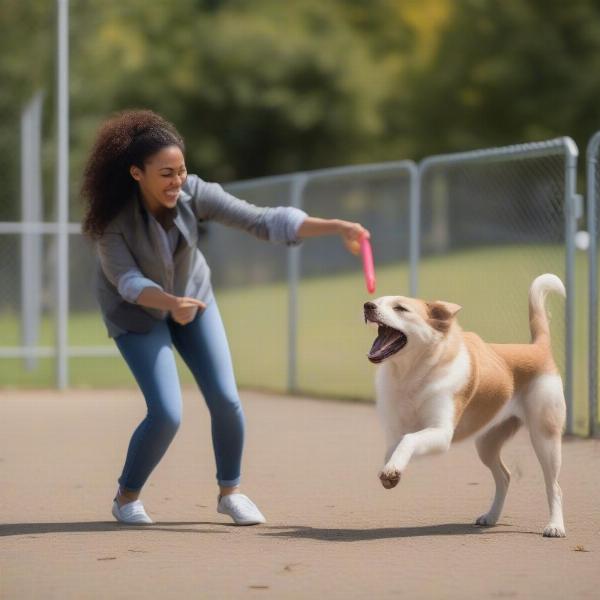 Dog Playing at a Granbury, TX Dog Park