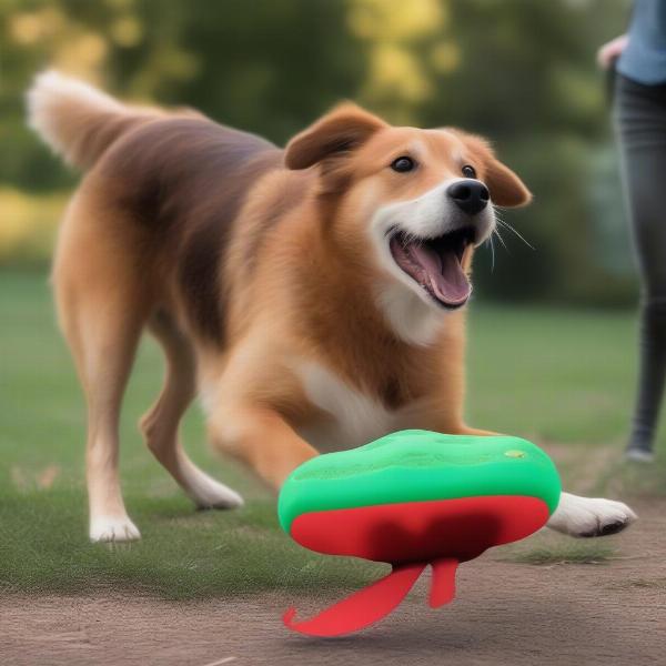 Dog Enjoying an Invincibles Toy