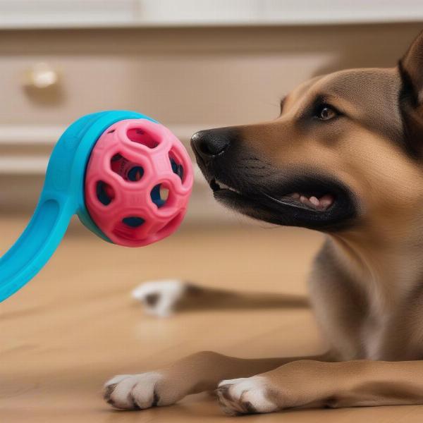 Dog Playing with a JW Hol-ee Roller