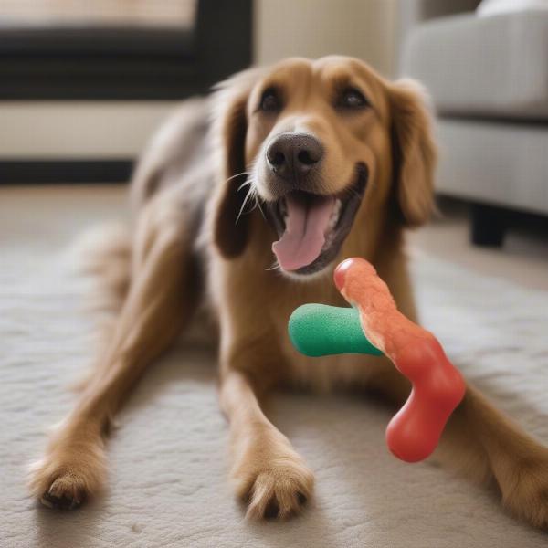 Dog Playing with a Peanut Butter Kong