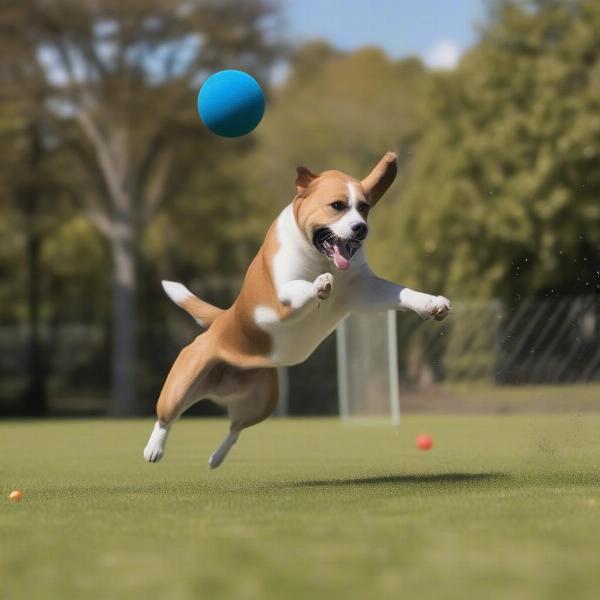 Dog Playing with Thrower Ball