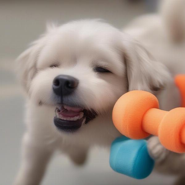 A dog happily playing with a new toy