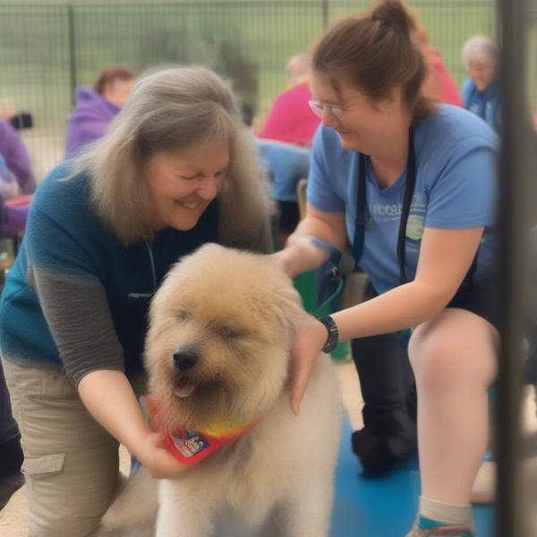 A happy dog at a Brixworth dog rescue.