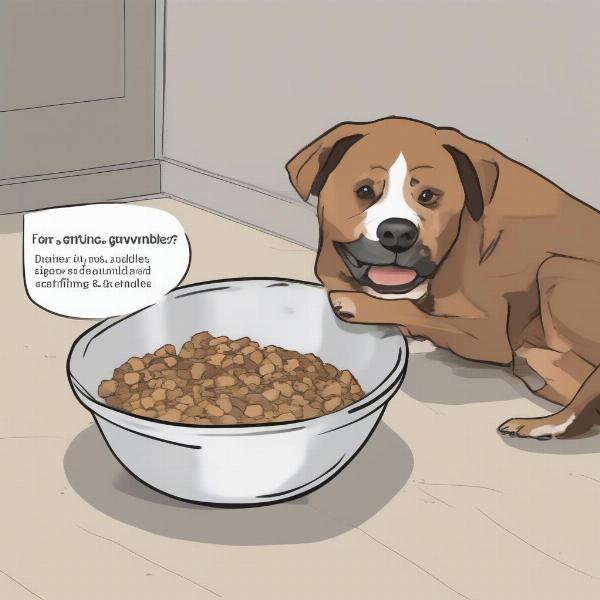 Dog Resource Guarding Food