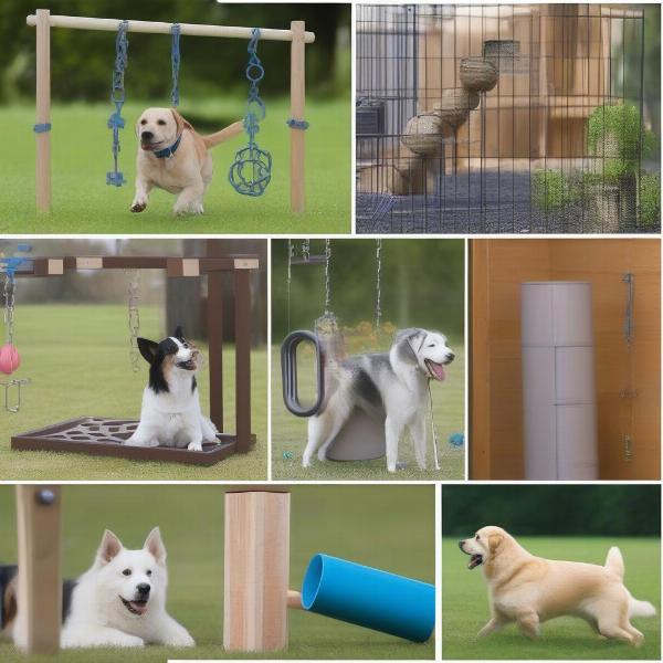 Dog Run Enrichment Ideas