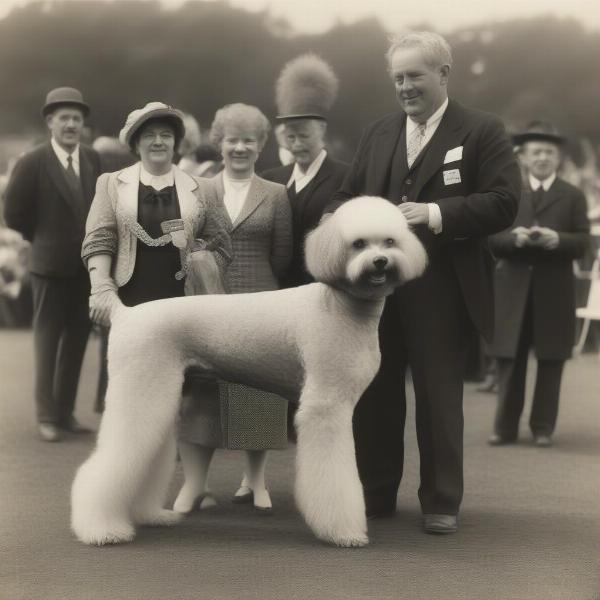 Dog being awarded Best in Show