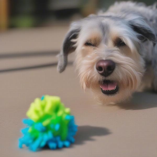 Dog happily snuffling in a brightly colored snuffle ball