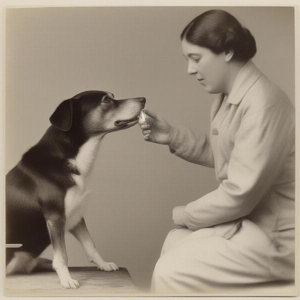 Dog Taking Medication Containing Glycerine