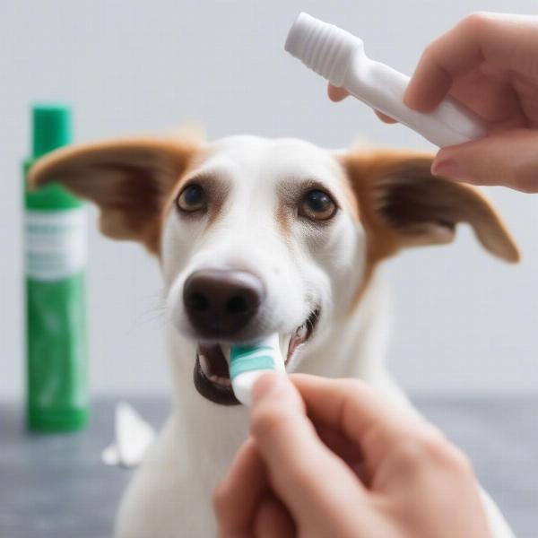 Close-up of dog toothpaste with enzymes being applied to a toothbrush