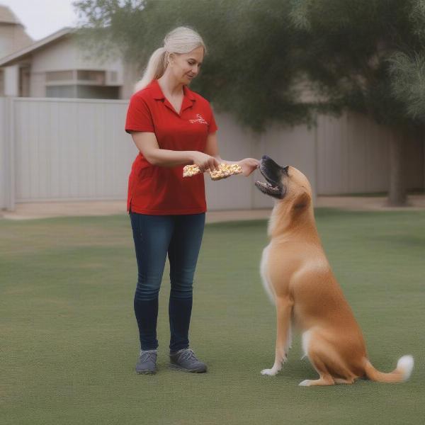 Dog trainer using positive reinforcement techniques in Amarillo, TX