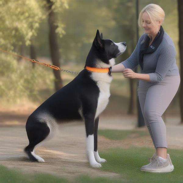 Dog Trainer Demonstrating Choker Collar Use