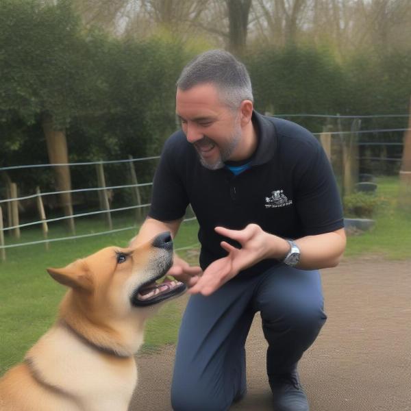 Dog Training Needs Assessment in Bradford