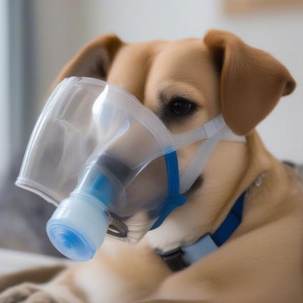 Dog Using Nebulizer Mask