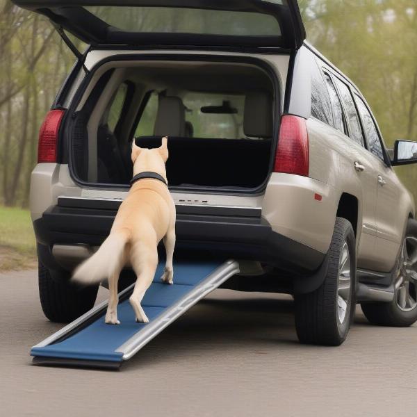 Dog Using SUV Ramp