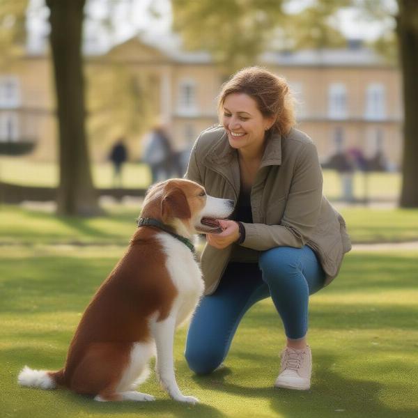 Meeting a potential dog walker in Cheltenham