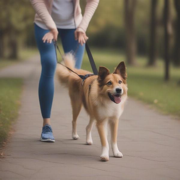 Dog Walker Joint Pain Prevention